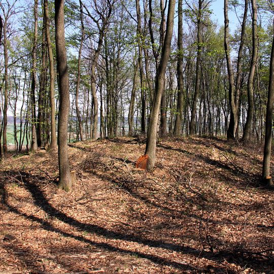 Grabhügel Krippelberg