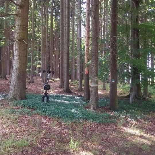 Kříž severně od Zhoře u okraje lesa