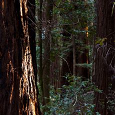 Hendy Woods State Park