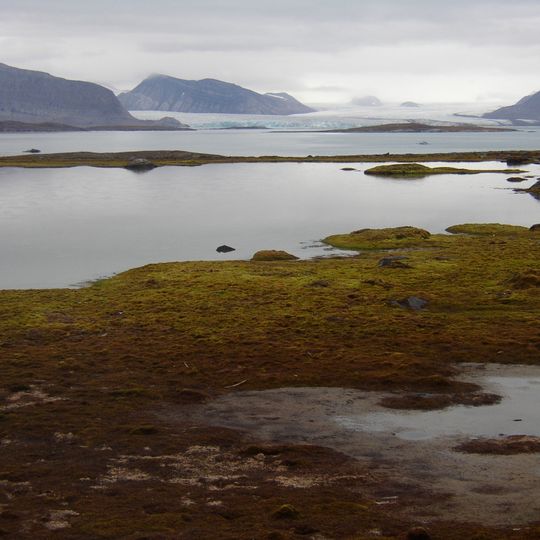 Santuario degli uccelli del Kongsfjorden