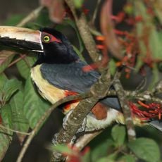 Darién National Park