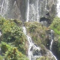 Departamento de Risaralda