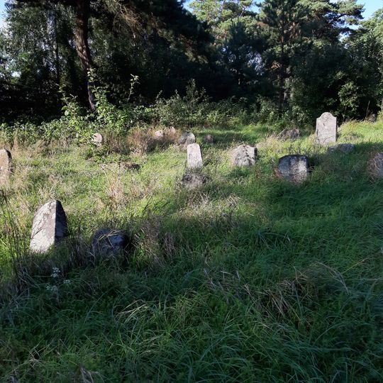 Jewish cemetery in Žaludok