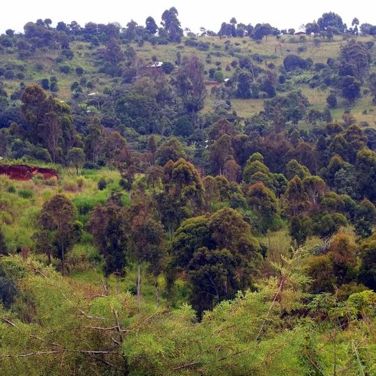 Chefferie Batchingou