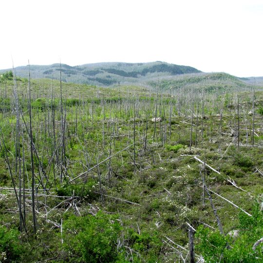 Thomas-Fortin Ecological Reserve