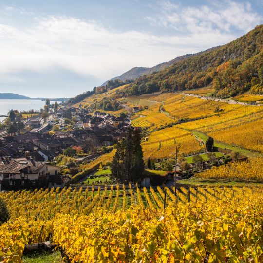 Left shore of Lake Biel