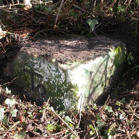Milestone About 150 Metres East Of Lodge To Compton Park