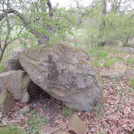 Großsteingrab Carlshof