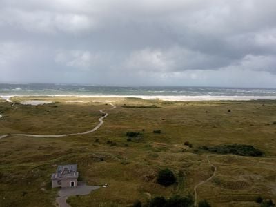 The view 1