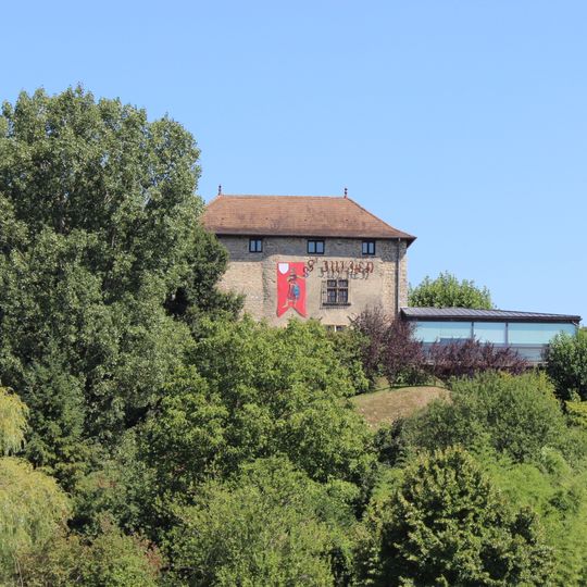Château de Frontonas