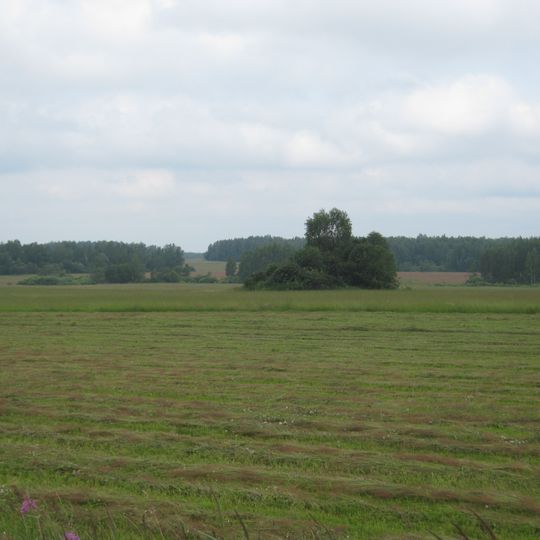 Grzęda Smoleńsko-Moskiewska