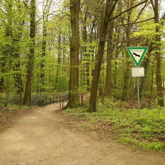 NSG Am Bagno - Buchenberg