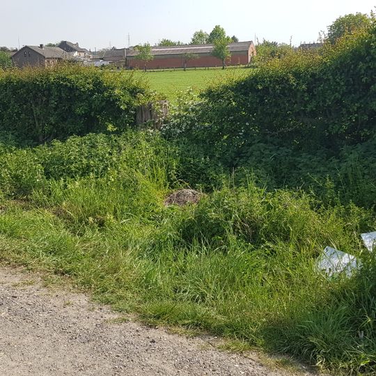 Pierre de frontière Belgique-Pays-Bas no. 39b