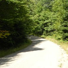 Moose River Plains Wild Forest