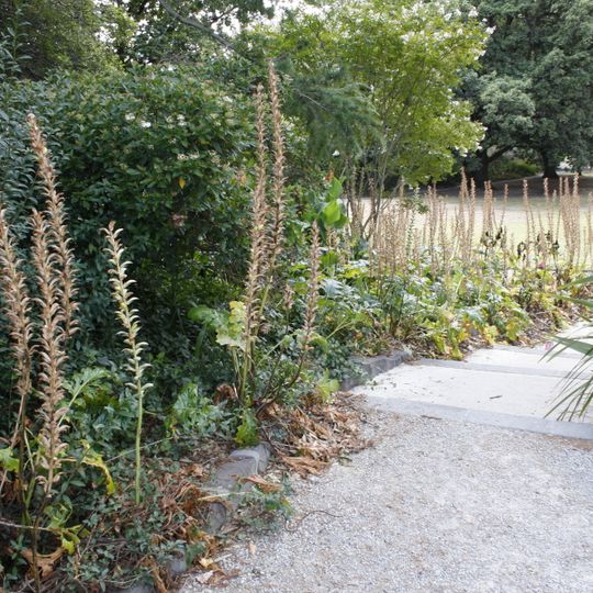 Hedgeley Dene Gardens