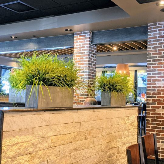 Cheddar's