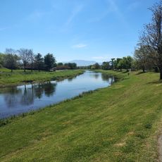 Burchfiel Grove and Arboretum