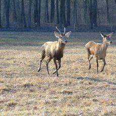 Duna-Drava National Park