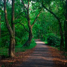 Bhawal National Park