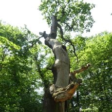 Naturdenkmal Hirschkopfeichen