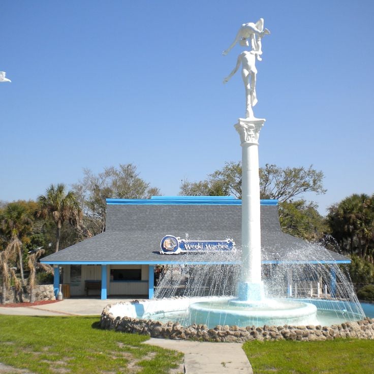 Parc d'État de Weeki Wachee Springs