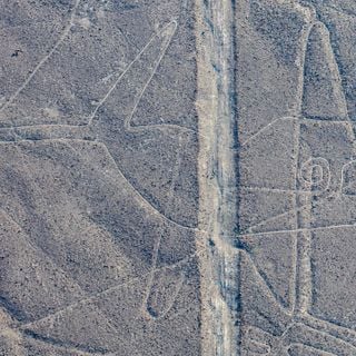 Géoglyphe Baleine de Nazca