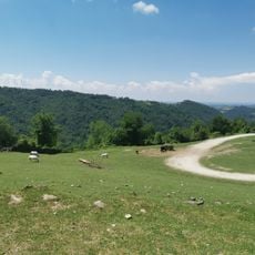 Parco Safari delle Langhe