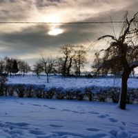 Anglesqueville-la-Bras-Long