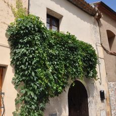 Dovella de Ca la Tomasa