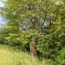 Kříž v Petrušově na polním rozcestí