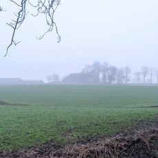 Terrein met resten van een borg