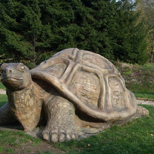 Socha želvy