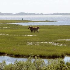 Assateague State Park