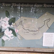 Kruse Rhododendron State Natural Reserve