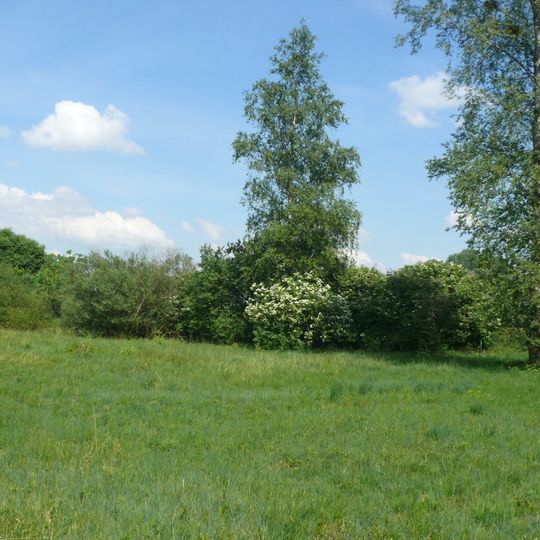 Gräben und Niedermoorreste im Erdinger Moos