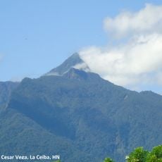 Nationalpark Pico Bonito