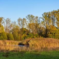 Neckaraue südlich Heilbronn