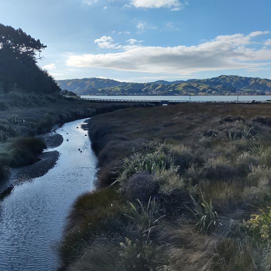 Duck Creek Scenic Reserve