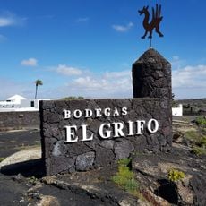 Museo del Vino El Grifo