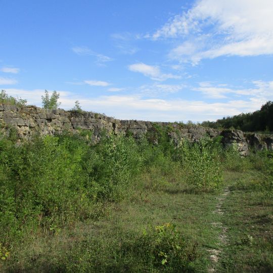 Kalksteinbruch im Naturschutzgebiet Birzberg, Honigsack/Kappelberghang bei Fechingen