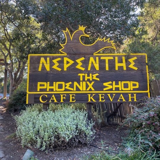 Nepenthe