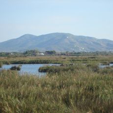 Parque natural del Prado de Cabanes-Torreblanca