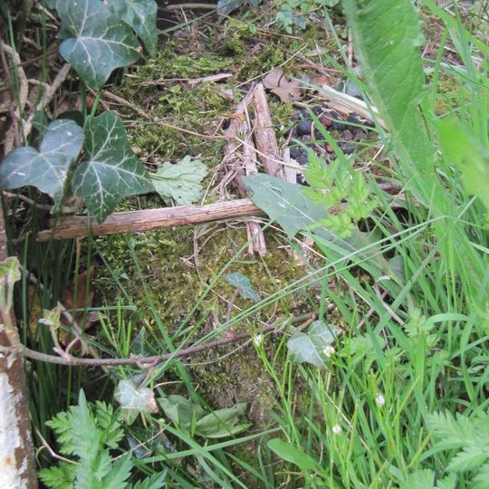 Milepost, S of Wem by railway bridge