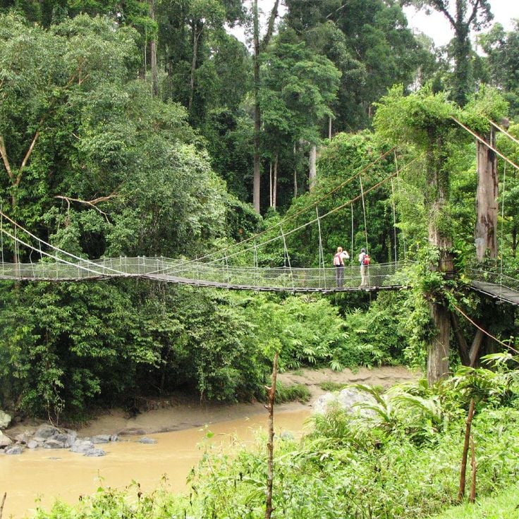 Danum Valley Conservation Area