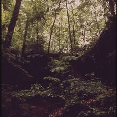 William B. Bankhead National Forest