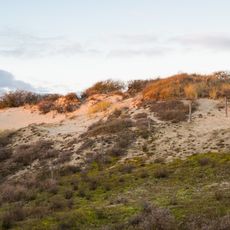 Meijendel & Berkheide