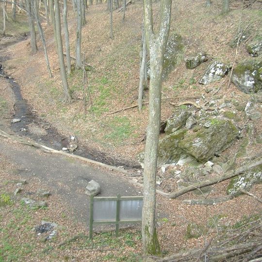 Pénz-patak Sinkhole Cave