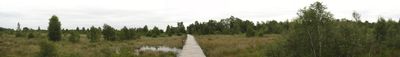 Panoramic View 0