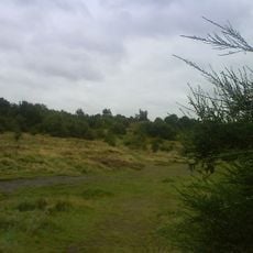 Kersal Moor