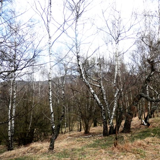 Prírodná rezervácia Pusté pole, Zlatá Baňa